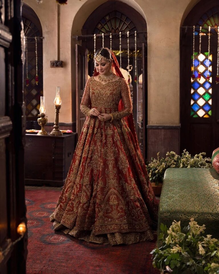 Luxury Bridal Maxi With Lehnga on Pure Chandi Tissue - Image 3