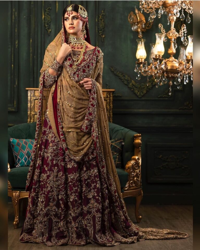 Back Trial Bridal Lehnga