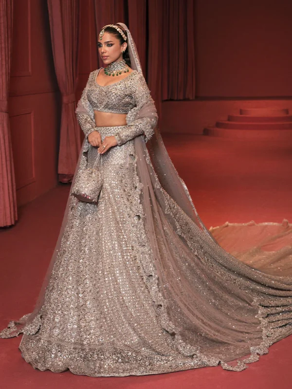 Grey Net-Tailed Lehenga and Choli