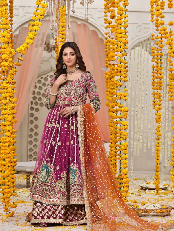 Luxurious Silk Net Kalidar Pishwas Adorned