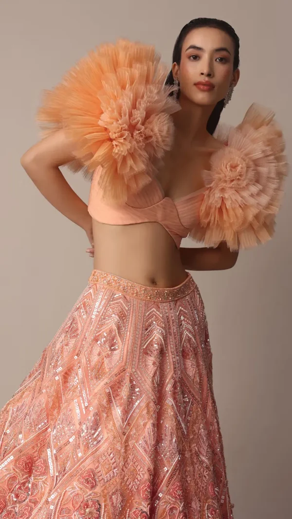 Peach Organza Embroidered Lehenga Set