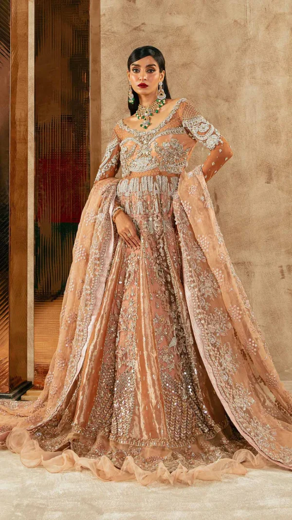 The Dusty Rose Tissue Pishwas Ensemble