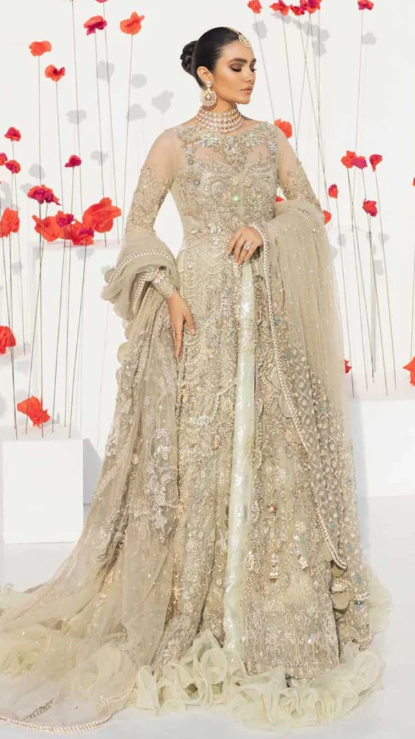 Exquisite Pakistani Lehenga Choli Set