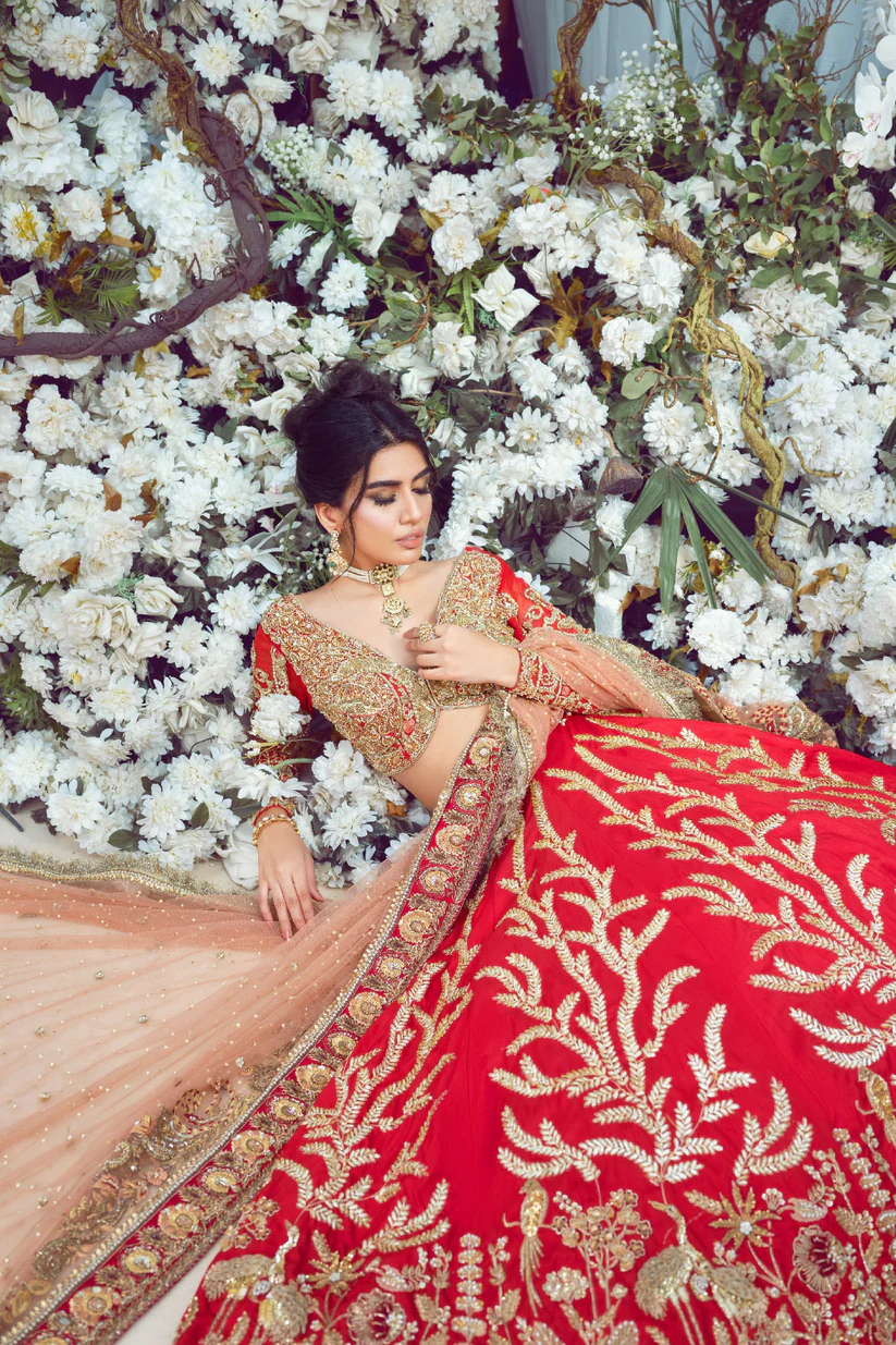 The Scarlet Paisley Lehenga Set