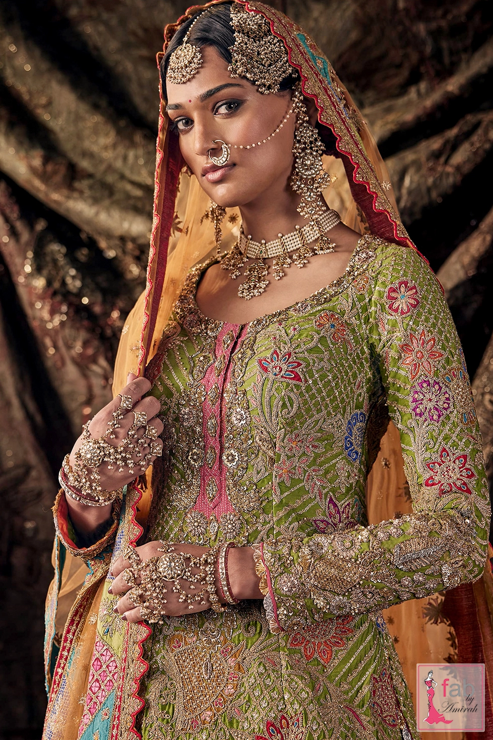 Seated portrait highlighting the full multi-colored chatta-patti border and fuchsia skirt flare