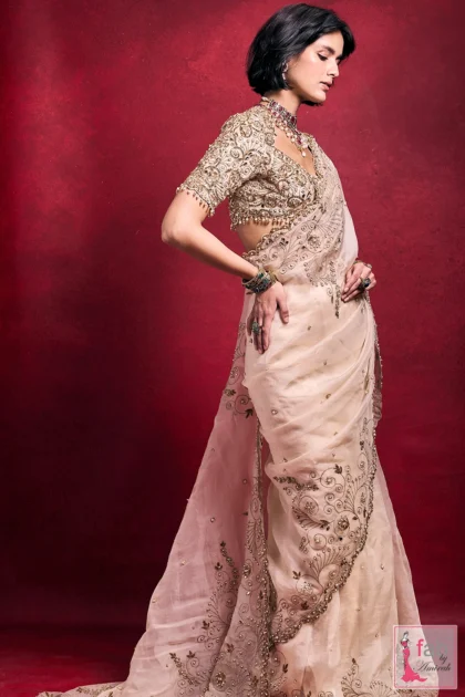 Back profile and scalloped pallu drape of organza saree