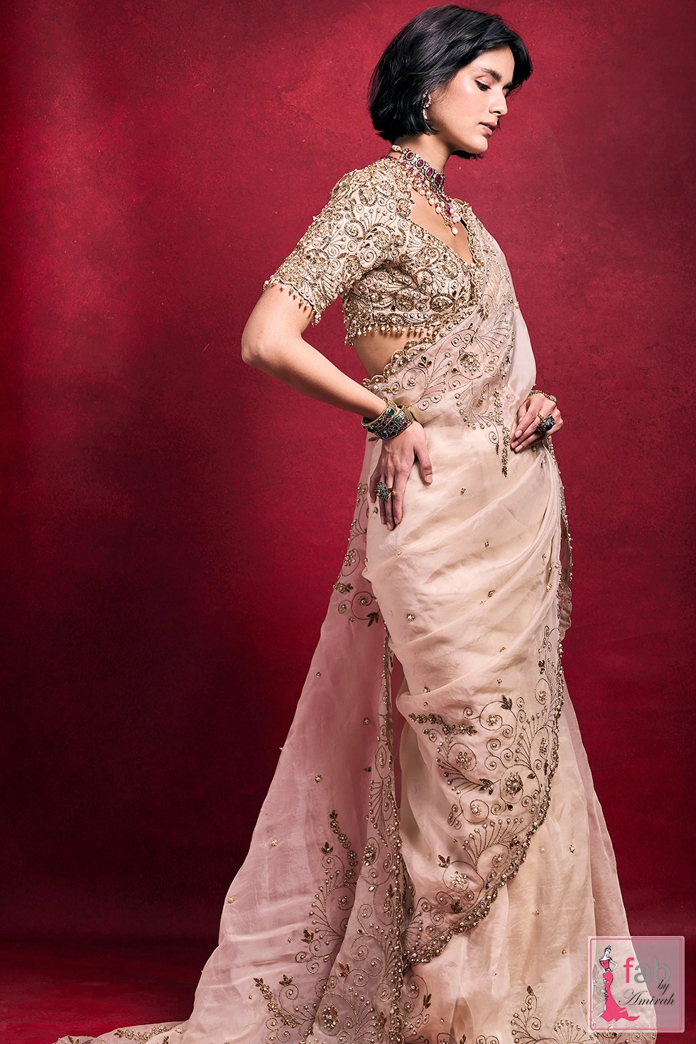 Back profile and scalloped pallu drape of organza saree Back profile and scalloped pallu drape of organza saree