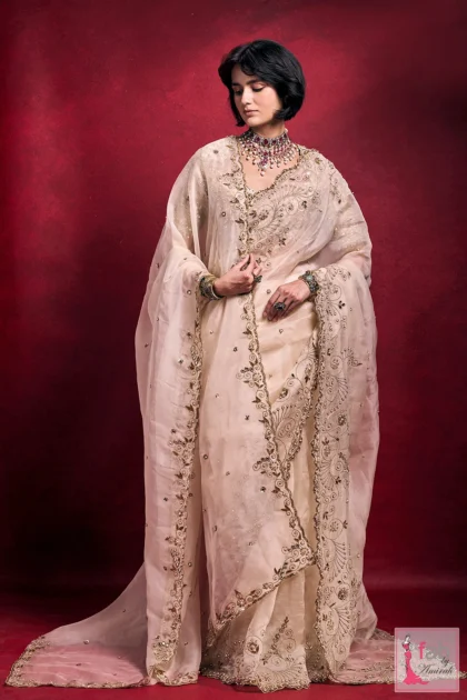 cream organza saree set with hand embroidery